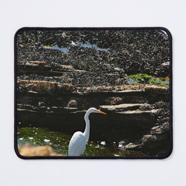Item preview, Crystal Cove State Park designed and sold by supernova23.