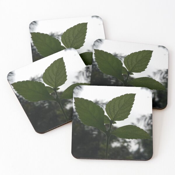 Item preview, Green plant leaf wallpaper from a low angle in the forest. designed and sold by Yusuf-Design.