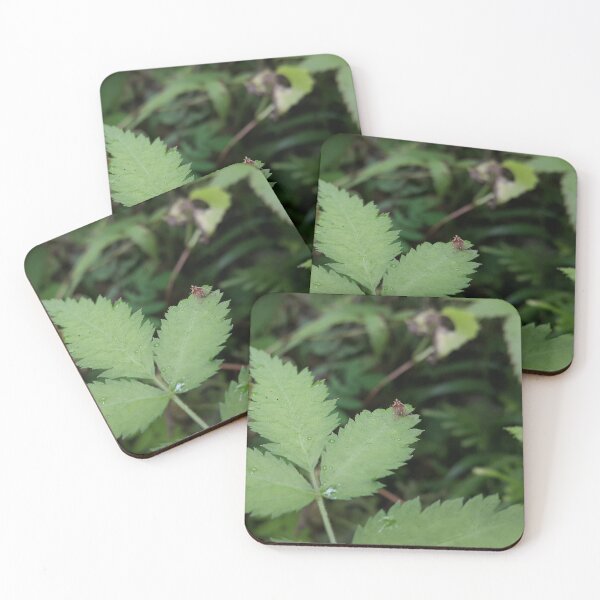 Item preview, Small Winged Animal perched on a green plant leaf. designed and sold by Yusuf-Design.