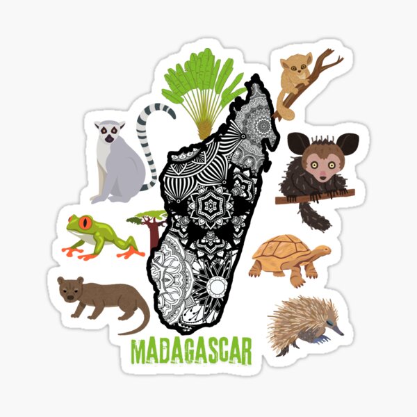 Artikel-Vorschau von Fauna und Flora, Mada, designt und verkauft von Ulrich Bonheur.