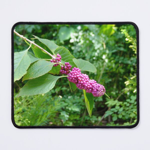 Item preview, Purple Perfection! designed and sold by Lana Magnolia.