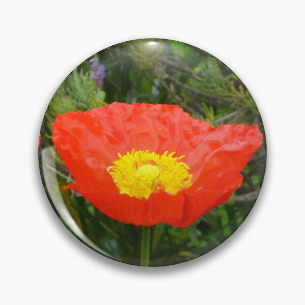 Item preview, Red Iceland Poppy for Remembrance designed and sold by JoyousArt4u.
