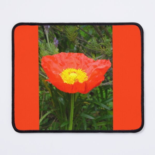Item preview, Red Iceland Poppy for Remembrance designed and sold by JoyousArt4u.