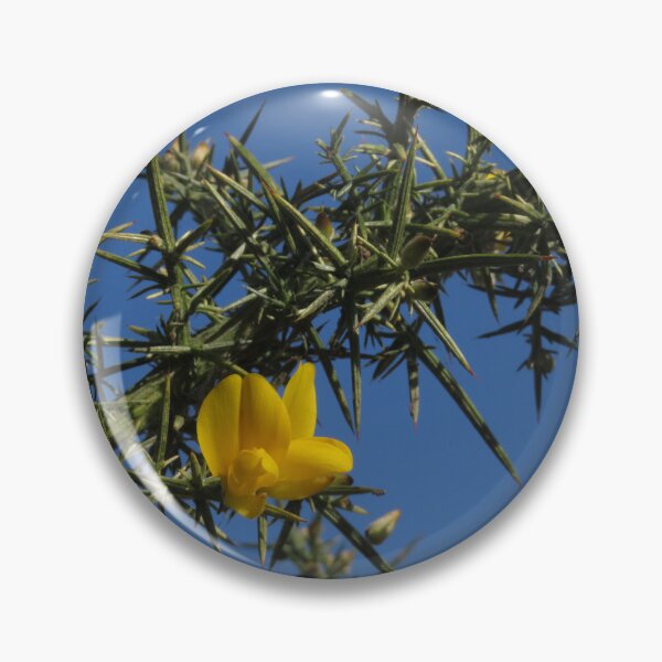 Item preview, Prickly Gorse designed and sold by wiggyofipswich.