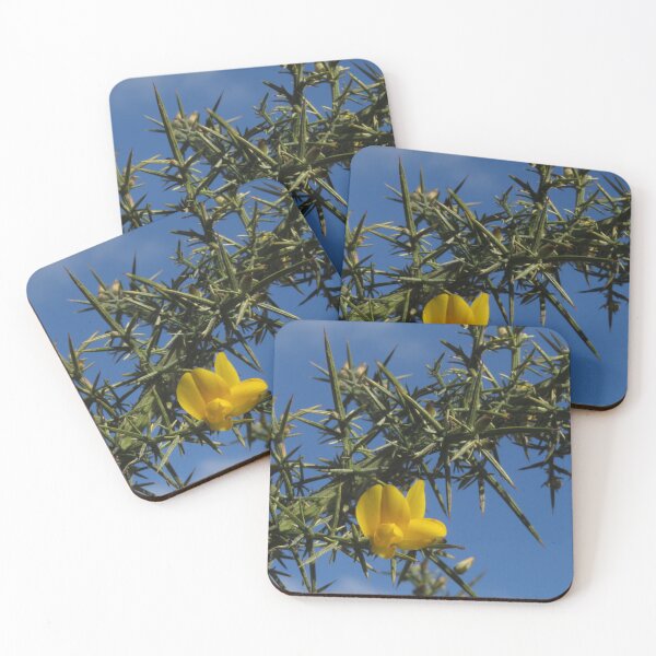 Item preview, Prickly Gorse designed and sold by wiggyofipswich.