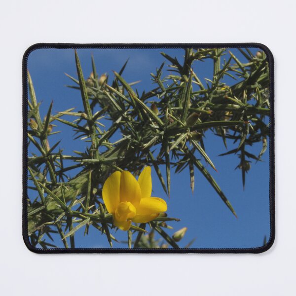 Item preview, Prickly Gorse designed and sold by wiggyofipswich.