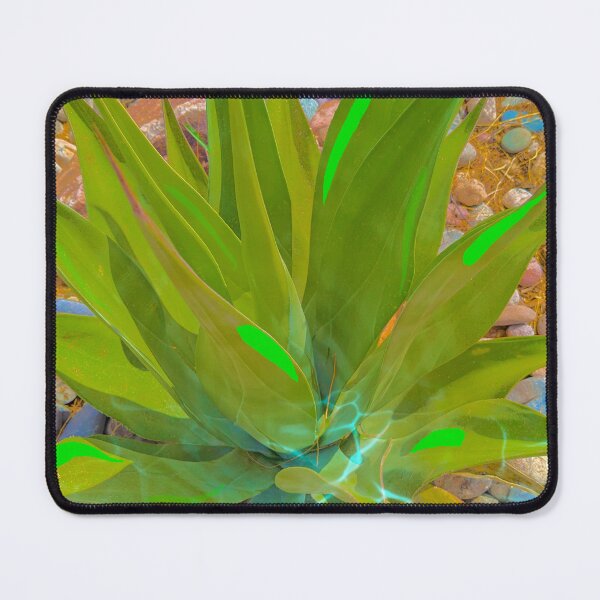 Item preview, Agave in stream designed and sold by Fatboy0699.