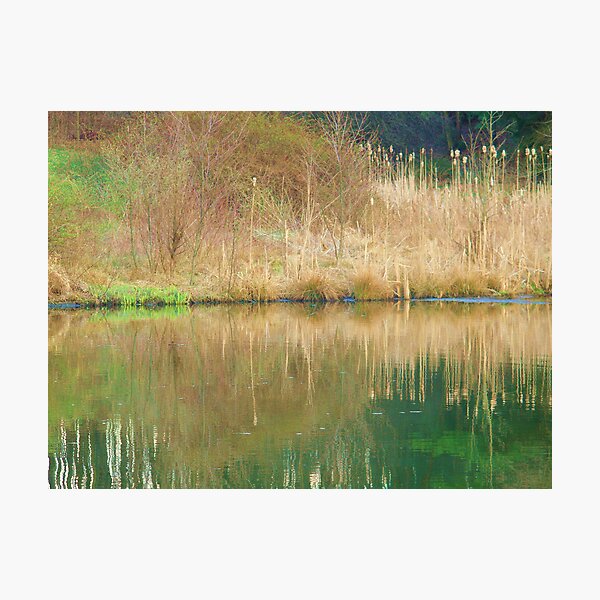 Item preview, Field by Lake designed and sold by Alicia  Sims.