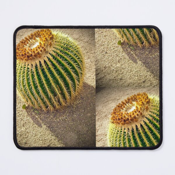 Item preview, Golden barrel cactus designed and sold by Fatboy0699.