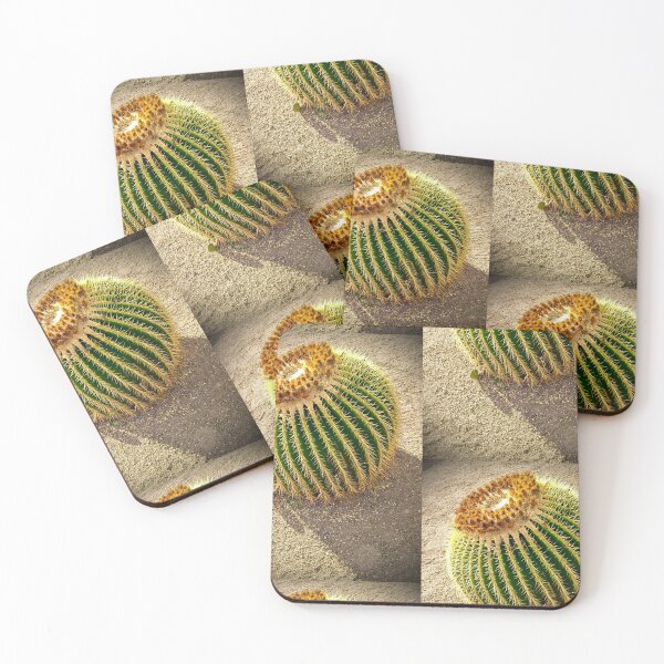 Item preview, Golden barrel cactus designed and sold by Fatboy0699.