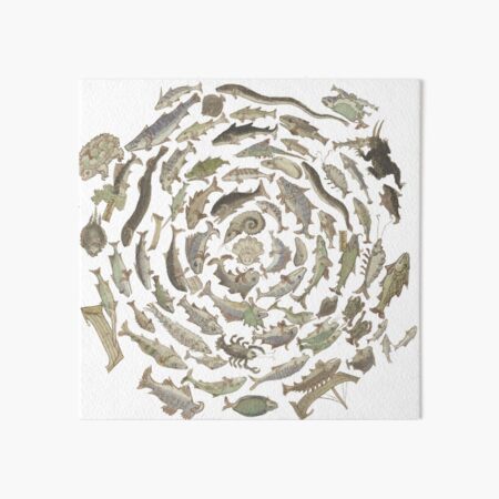 Item preview, Medieval fish illustration spiral designed and sold by IllmadeErrant.