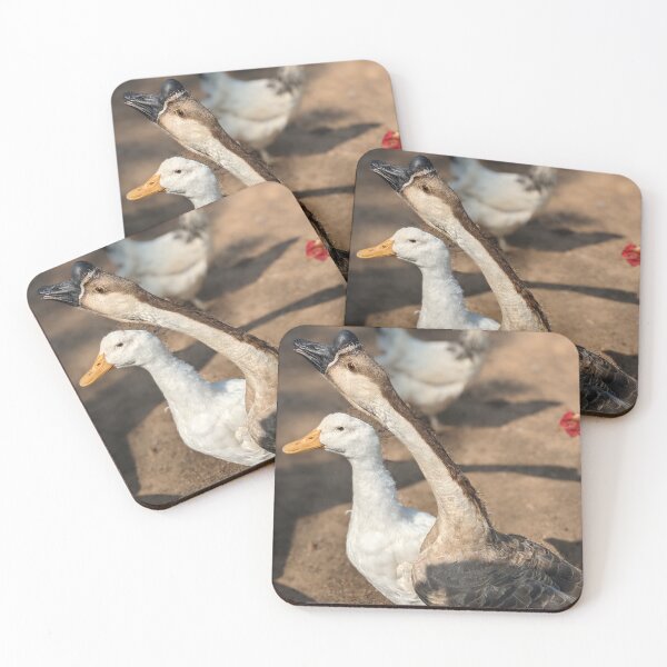 Item preview, A Fowl Stretch designed and sold by TheRealDanniX.