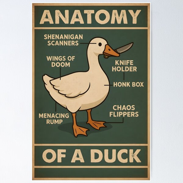 Item preview, anatomy of a duck designed and sold by TitoDesignerr.