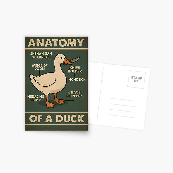 Item preview, anatomy of a duck designed and sold by TitoDesignerr.