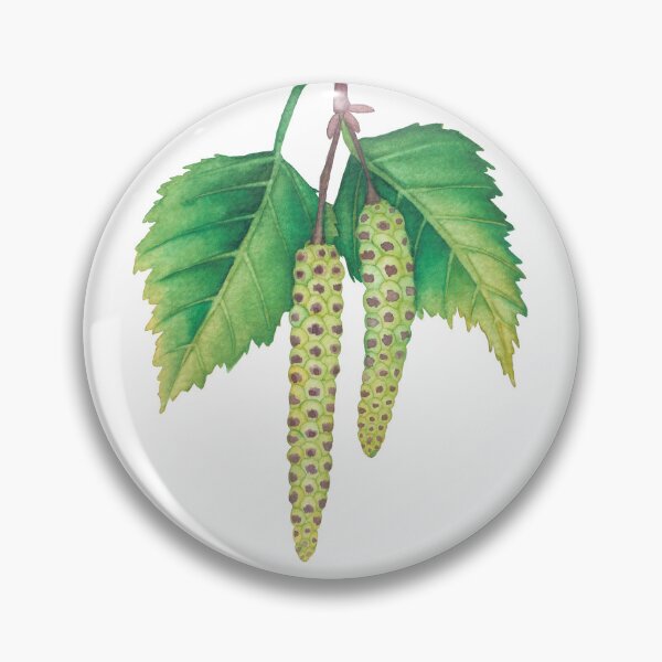 Item preview, Watercolor birch leaves and catkins designed and sold by Ekaterina Glazkova.