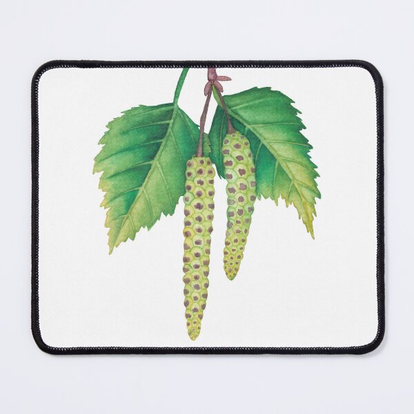 Item preview, Watercolor birch leaves and catkins designed and sold by Ekaterina Glazkova.