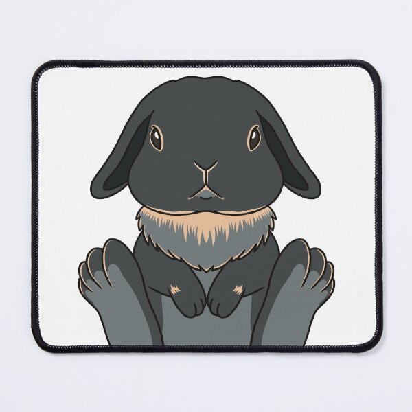 Item preview, Holland Lop Black otter Kawaii Rabbit designed and sold by tayaan.