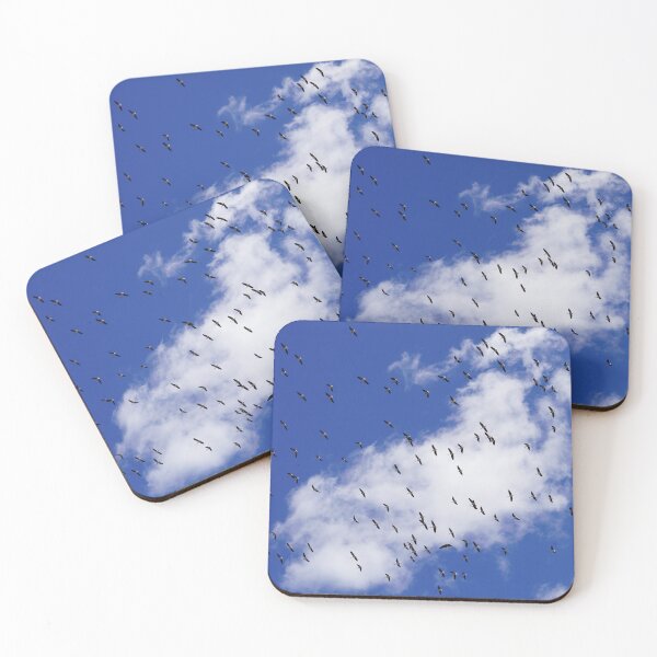 Item preview, Beautiful Ibis of the Outback designed and sold by Sunny Hungerford Photography.