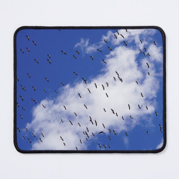 Item preview, Beautiful Ibis of the Outback designed and sold by Sunny Hungerford Photography.