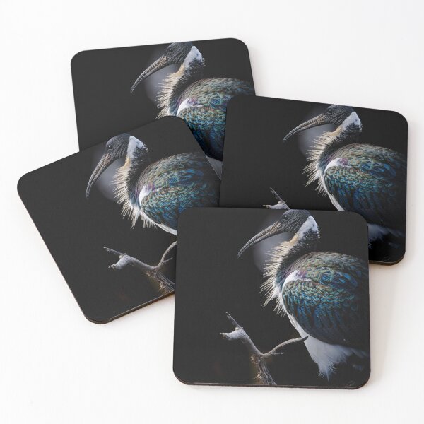 Item preview, Straw necked ibis on the dark side designed and sold by Mslphotography.