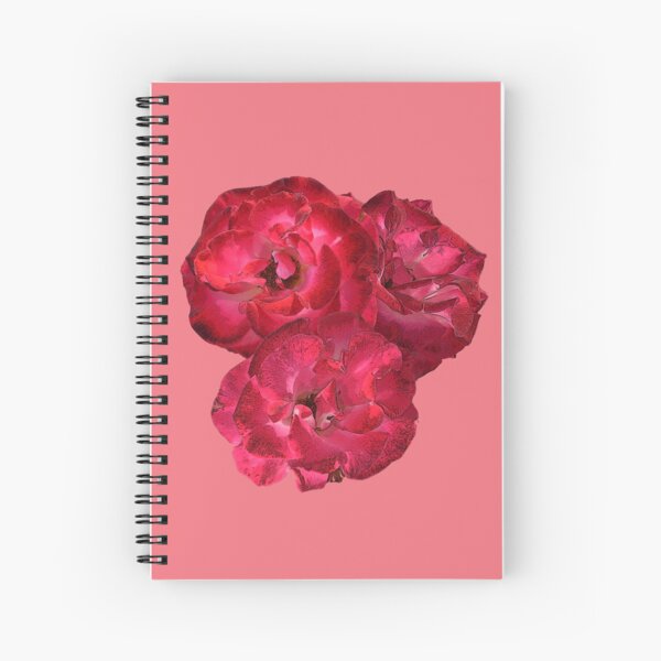 Aperçu de l'œuvre Fleurs roses créée et vendue par bpcreate.