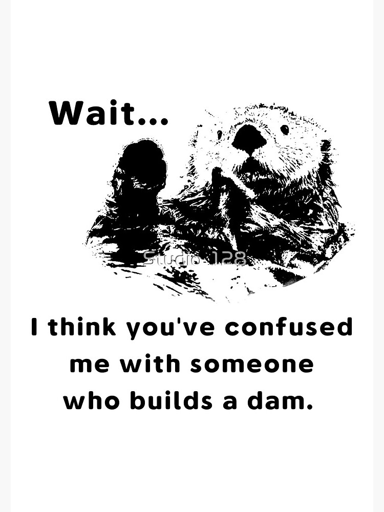 Funny Otter T-Shirt Confused Me With Someone Builds A Dam Funny Otter T-Shirt Confused Me With Someone Builds A Dam