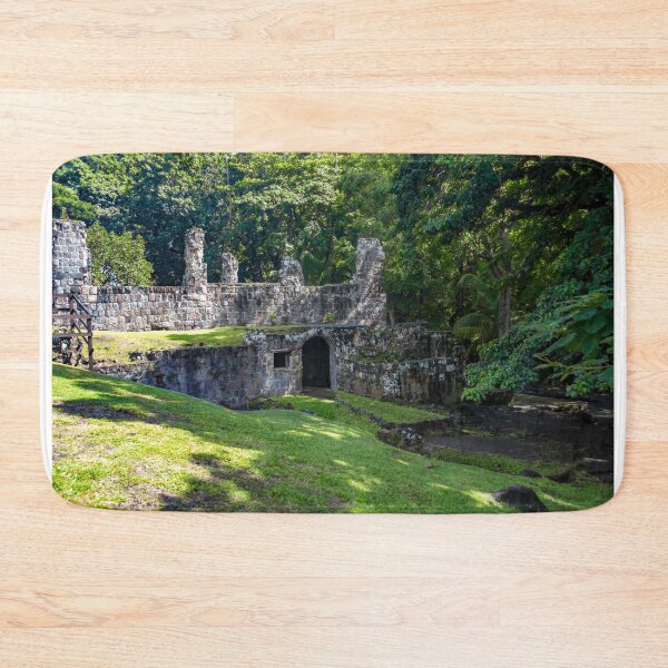 Item preview, Wingfield Plantation Ruins designed and sold by jrtwynam.