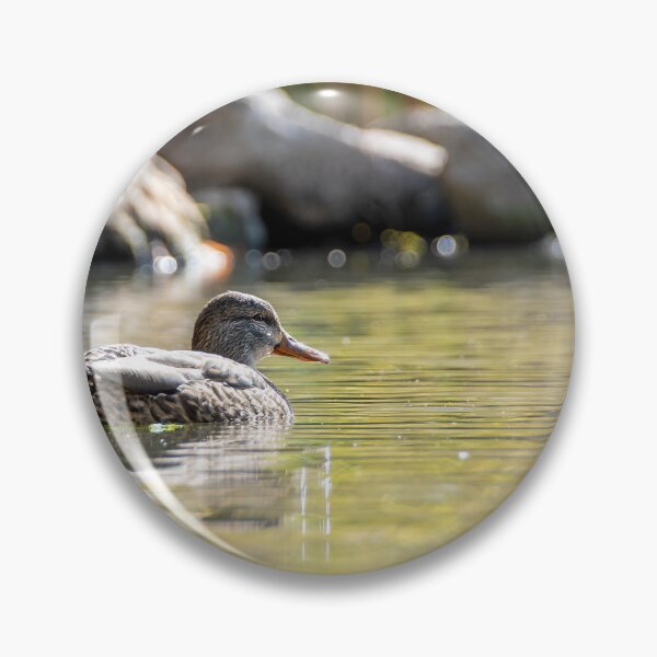 Item preview, Serene Duck in Sam Smith Park designed and sold by jrtwynam.
