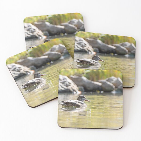 Item preview, Serene Duck in Sam Smith Park designed and sold by jrtwynam.