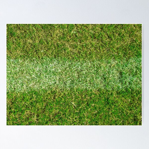 soccer field Poster