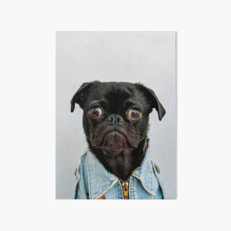Artikel-Vorschau von Mops-tastischer Modezauber: Süßer Hunde-Humor für Fashionistas, designt und verkauft von STOCKERANTO.
