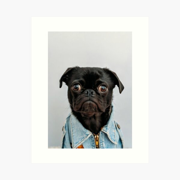 Artikel-Vorschau von Mops-tastischer Modezauber: Süßer Hunde-Humor für Fashionistas, designt und verkauft von STOCKERANTO.