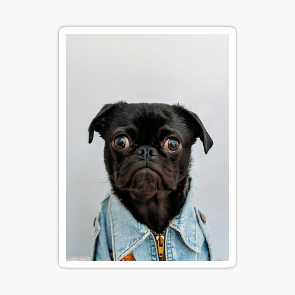 Artikel-Vorschau von Mops-tastischer Modezauber: Süßer Hunde-Humor für Fashionistas, designt und verkauft von STOCKERANTO.
