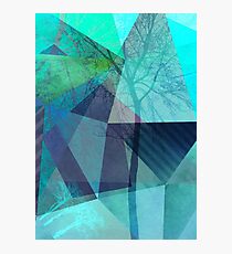 P19-B4 TREES AND TRIANGLES Photographic Print