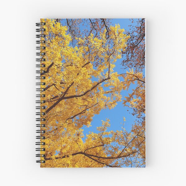 Item preview, Japan Autumn Leaves Fall Foliage in Tokyo  Japanese garden designed and sold by TalBright.