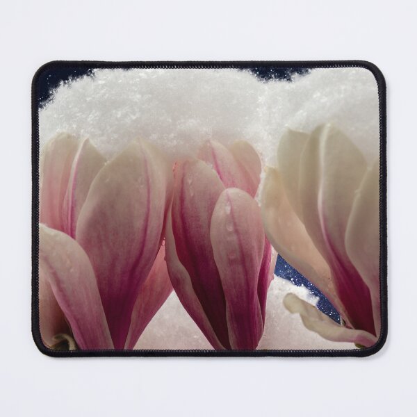 Item preview, Snow-covered magnolias at night designed and sold by Eckart Mayer Photography.