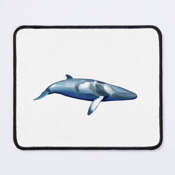 Item preview, Minke Whale designed and sold by Aubree Parkinson.