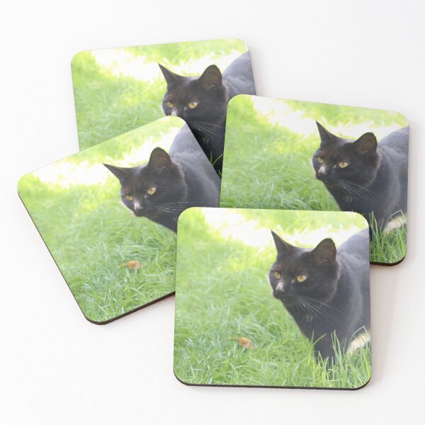 Item preview, Black Cat in the Garden designed and sold by Zoe Sian Photography.