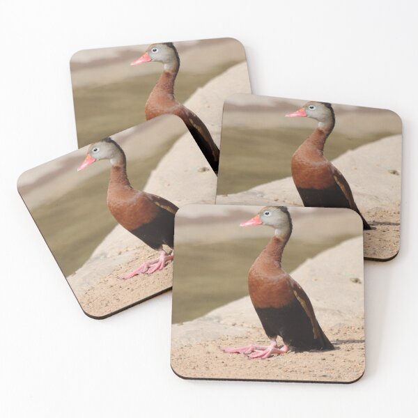 Item preview, Just chillin designed and sold by Olivia Plasencia.