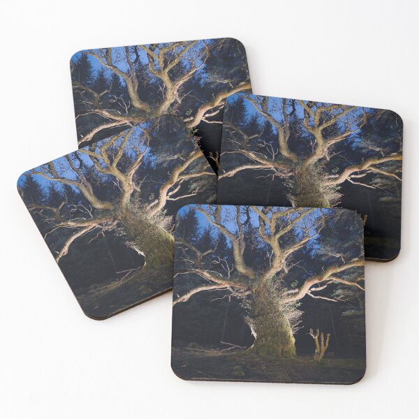 Item preview, The Skipinnish Oak designed and sold by ShinyPhoto.