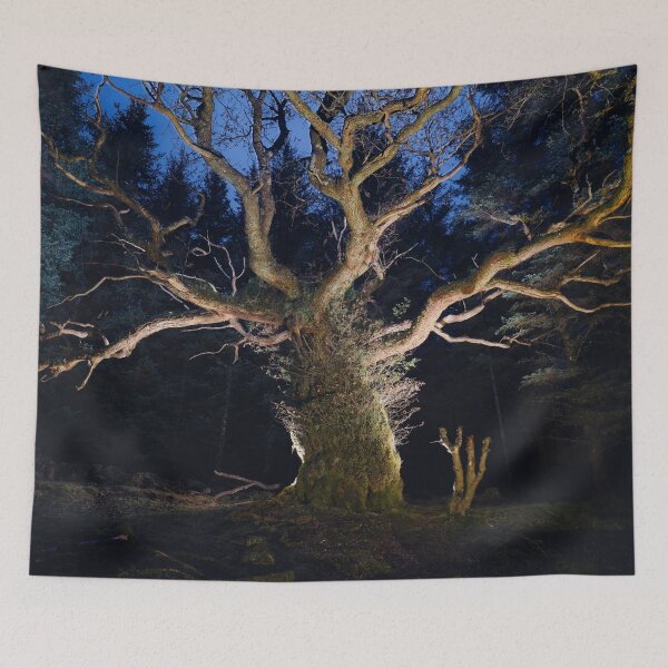 Item preview, The Skipinnish Oak designed and sold by ShinyPhoto.