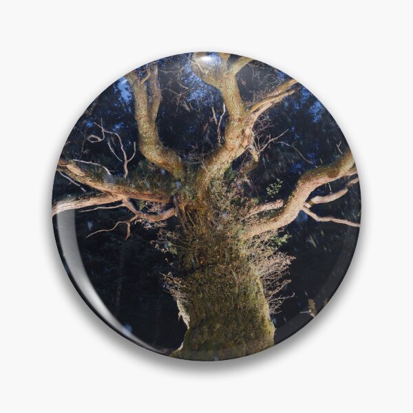 Item preview, The Skipinnish Oak designed and sold by ShinyPhoto.