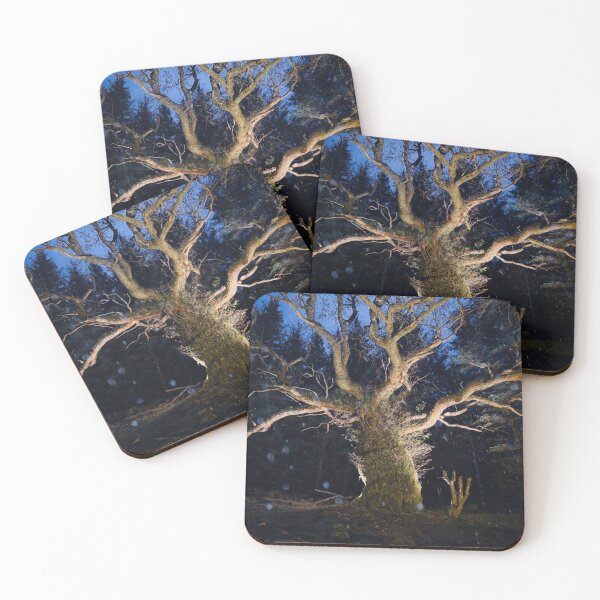 Item preview, The Skipinnish Oak designed and sold by ShinyPhoto.