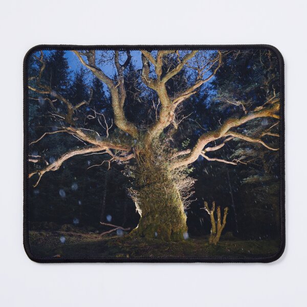 Item preview, The Skipinnish Oak designed and sold by ShinyPhoto.