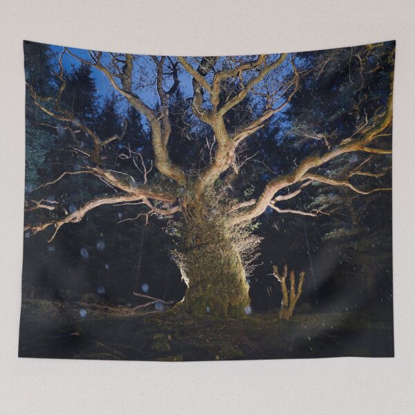 Item preview, The Skipinnish Oak designed and sold by ShinyPhoto.
