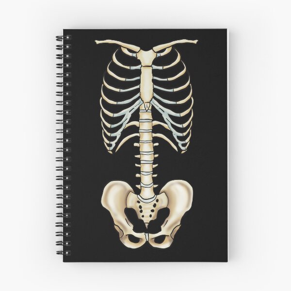 Item preview, Anatomical Skeleton, Anatomy Teacher Gift, Nurse Gift, Med School Graduation Gift, Orthopedic Surgeon, Chiropractor designed and sold by mermaidronnie.