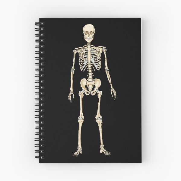 Item preview, Anatomical Skeleton, Anatomy Teacher Gift, Nurse Gift, Med School Graduation Gift, Orthopedic Surgeon, Chiropractor designed and sold by mermaidronnie.