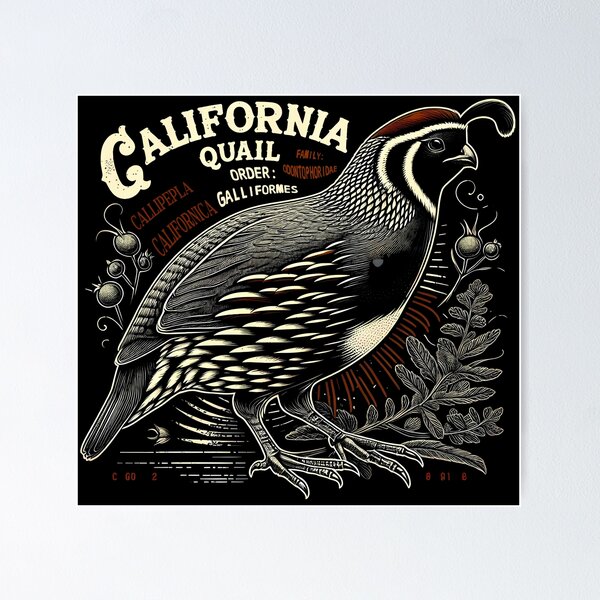 Item preview, California Quail designed and sold by theAVIARY7.