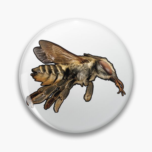 Item preview, Leaf-cutter Bee designed and sold by DreamingBeetle.