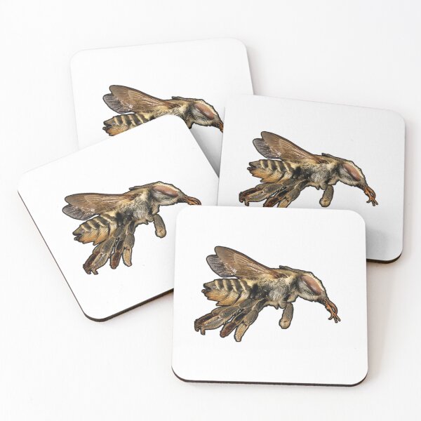 Item preview, Leaf-cutter Bee designed and sold by DreamingBeetle.